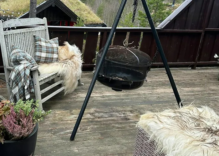 Sunny Near Gautefall