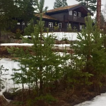 Sunny Near Gautefall *