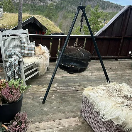 Sunny Near Gautefall