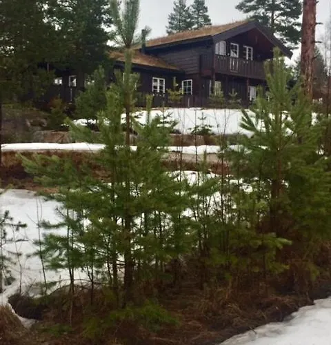 Sunny Near Gautefall *